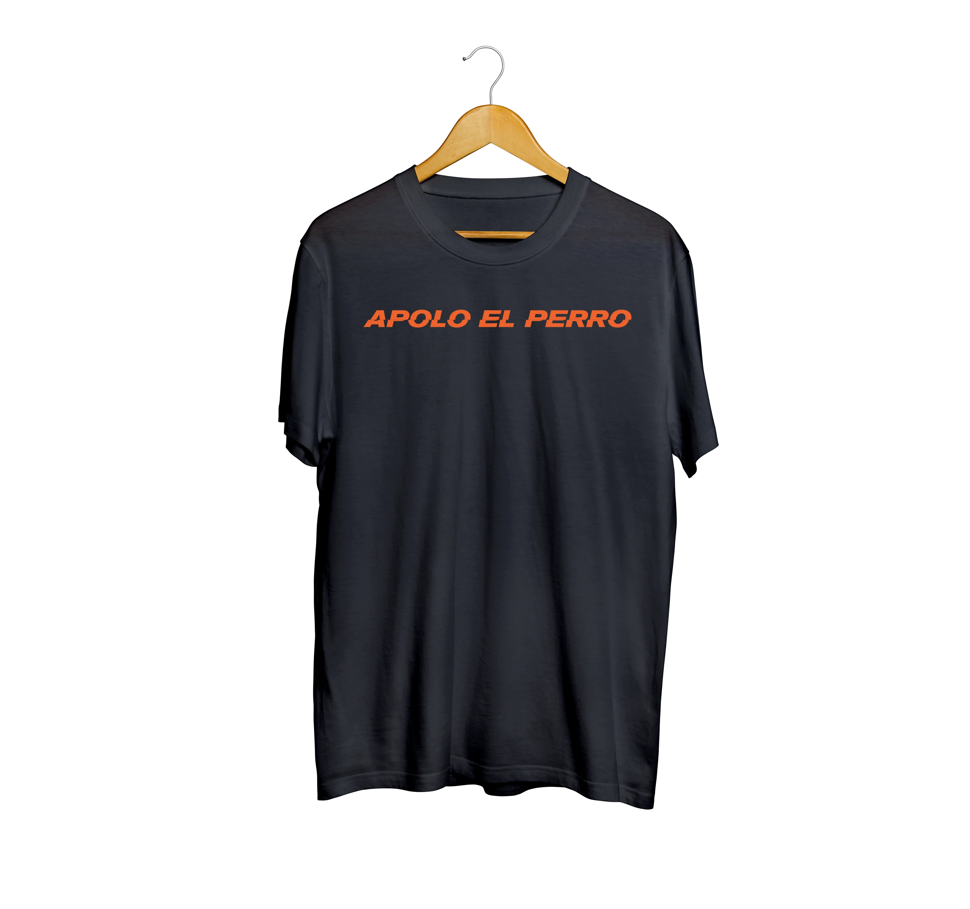 Banda Apolo el Perro - Creacion de Marca e Identidad Visual — captura 2